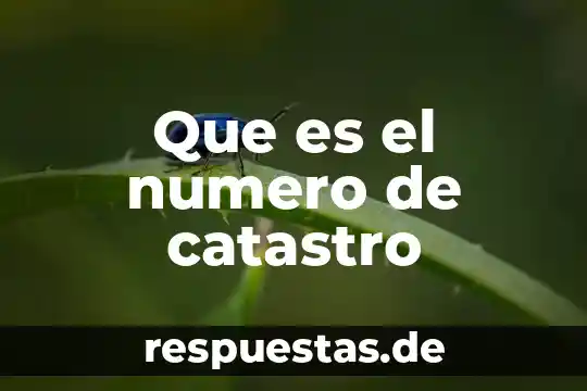 Que es numero figo 4 Que es el numero de catastro