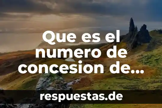 Que es el numero de concesion de un vehiculo