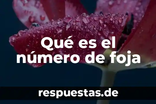 Qué es proceso de construcción de la noción del número 4 Qué es el número de foja