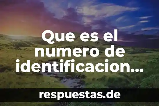 ¿Qué es el número dinámico de autenticación? 8 Que es el numero de identificacion ife
