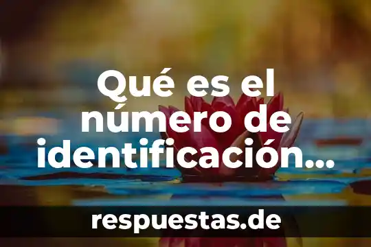 Qué es un número natural 3 Qué es el número de identificación personal