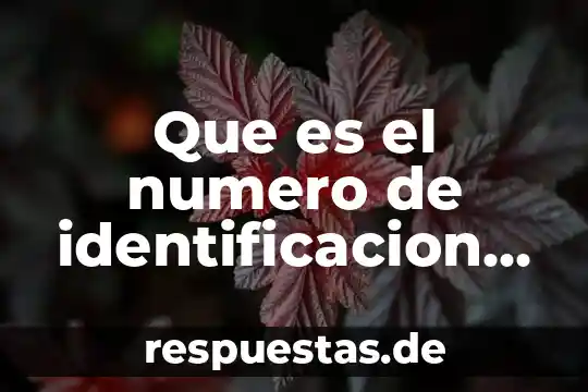 Qué es un número natural 7 Que es el numero de identificacion personal en un banco