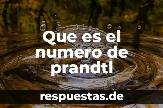 Que es numero figo 8 Que es el numero de prandtl