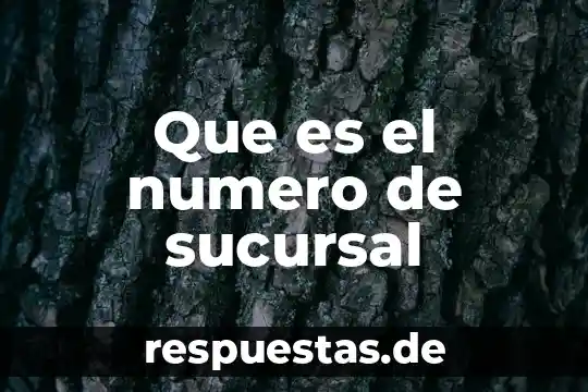 Qué es un número natural 5 Que es el numero de sucursal