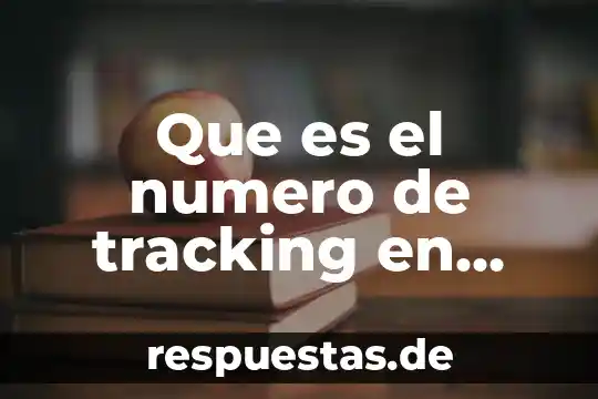 Qué es proceso de construcción de la noción del número 8 Que es el numero de tracking en amazon