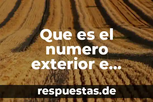 Qué es número e juzgado 7 Que es el numero exterior e interior de un domicilio