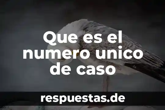 Que es numero figo 3 Que es el numero unico de caso
