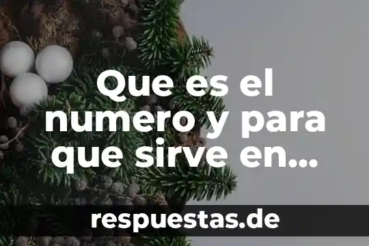 Que es la numerosidad en preescolar pensamiento matematico 3 Que es el numero y para que sirve en preescolar