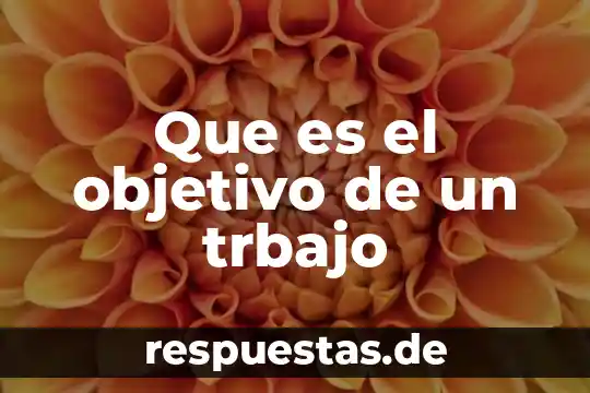 Qué es el objetivo explicativo 5 Que es el objetivo de un trbajo