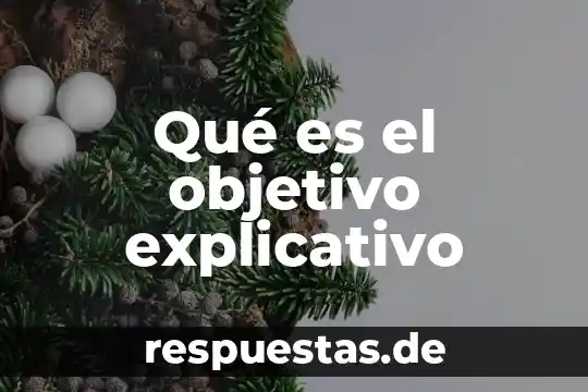 Que es el objetivo de un trbajo 5 Qué es el objetivo explicativo