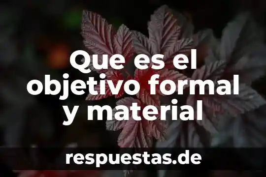 Ww4 que es 3 Que es el objetivo formal y material