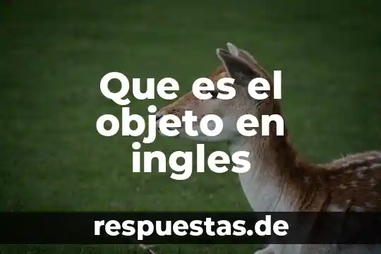 Que es un estado del objeto en poo 7 Que es el objeto en ingles