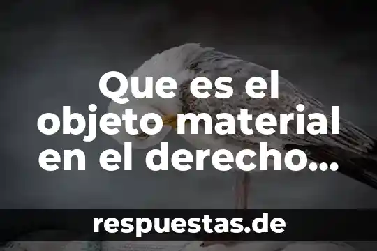 Que es la esencia del derecho penal 7 Que es el objeto material en el derecho penal