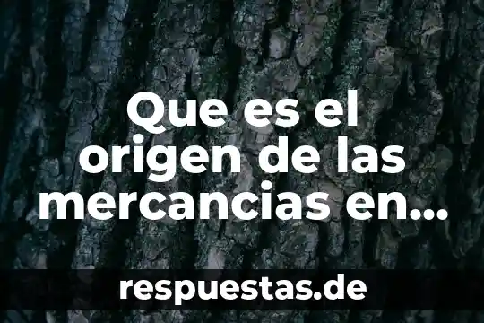 Que es historia origen de logan 4 Que es el origen de las mercancias en mexico