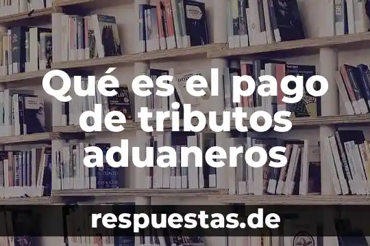 Qué es un concepto en un pago 3 Qué es el pago de tributos aduaneros