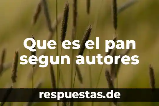 Según Sigmund Freud que es la proyección 8 Que es el pan segun autores