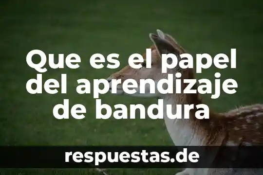 Que es el papel del aprendizaje de bandura