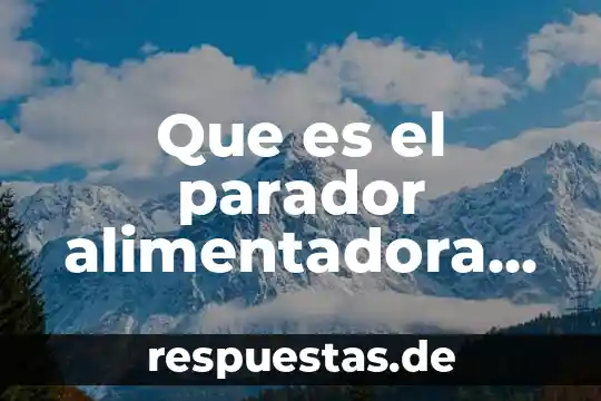 Que es el parador alimentadora express en guadalajara