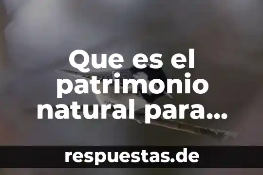 Qué es un dique natural 3 Que es el patrimonio natural para niños