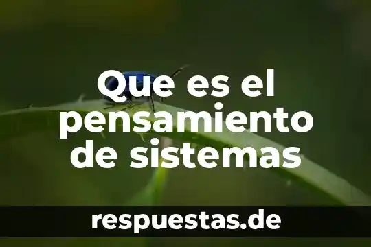 Que es pensamiento en la logica 6 Que es el pensamiento de sistemas