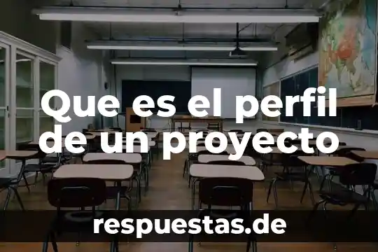 Que es el perfil de un proyecto