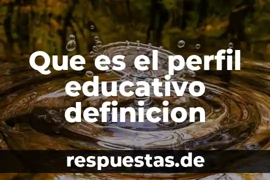 Que es el perfil educativo definicion