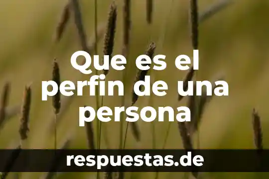 Que es el perfin de una persona