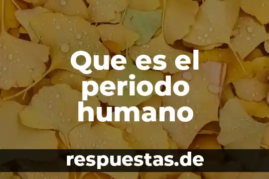 Que es el periodo de traslacion de la luna 6 Que es el periodo humano
