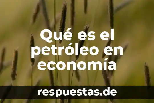 Qué es la economía agrícola concepto 8 Qué es el petróleo en economía