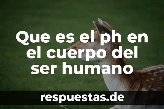 Qué es ser huachicol 6 Que es el ph en el cuerpo del ser humano