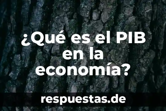 Qué es la economía agrícola concepto 7 ¿Qué es el PIB en la economía?
