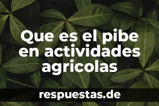 Que es la actividades forestales 4 Que es el pibe en actividades agricolas