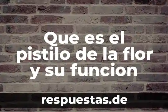 Que es una introduccion estructura lenguaje que usa y funcion 7 Que es el pistilo de la flor y su funcion