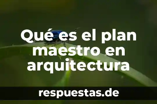 Que es un maestro segun paulo freire 7 Qué es el plan maestro en arquitectura