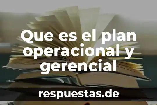 Qué es una definición de una variable operacional 5 Que es el plan operacional y gerencial