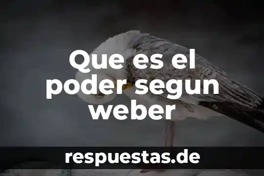 Weber do que es 5 Que es el poder segun weber
