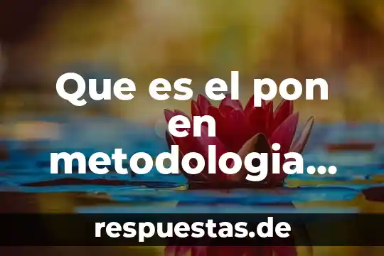 Que es el nucleolo dela celula animal 3 Que es el pon en metodologia dela investigacion