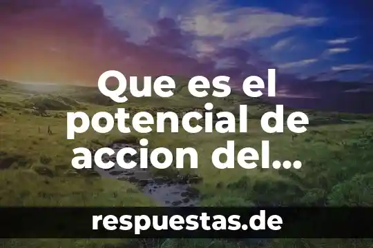 Qué es un ataque cardiaco definición 7 Que es el potencial de accion del musculo cardiaco