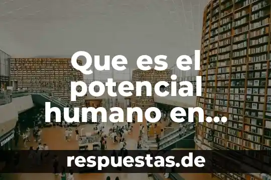 Qué es la energía potencial elástica y la energía cinética 7 Que es el potencial humano en una empresa