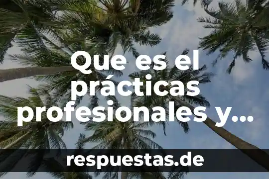 Plan de trabajo de practicas profesionales que es 3 Que es el prácticas profesionales y servicio social