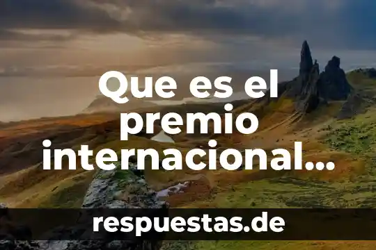Que es vaguedad internacional extencional 3 Que es el premio internacional de periodismo knight