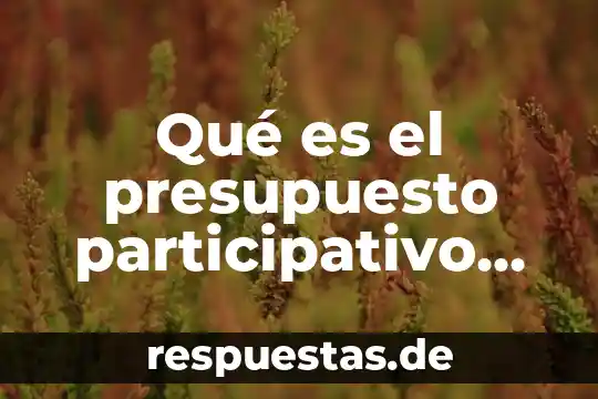 Que es lo mas representativo de la cultura de mexico 8 Qué es el presupuesto participativo en México