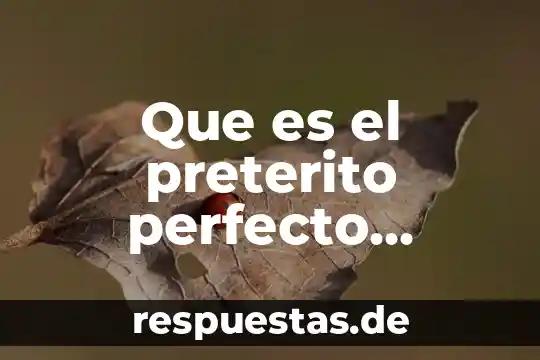 Que es ser vedette yahoo 7 Que es el preterito perfecto simple yahoo