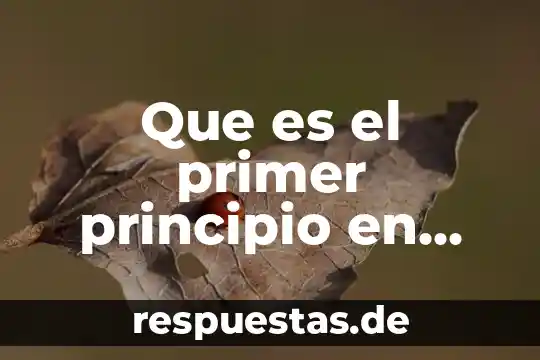 Que es un vector enfermedad 7 Que es el primer principio en filosofia