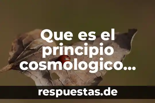 Que es la filosofia animal 5 Que es el principio cosmologico filosofia