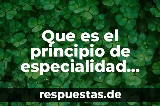 Qué es quorum estatutario en derecho mercantil 6 Que es el principio de especialidad en materia mercantil