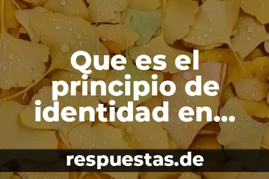 Que es lógica material 8 Que es el principio de identidad en logica yahoo