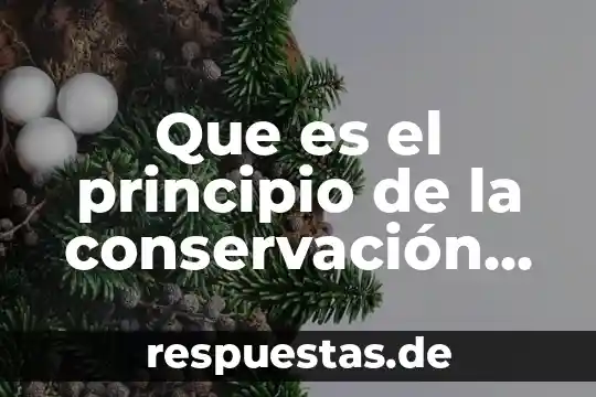 Que es el principio de la conservación de la energía