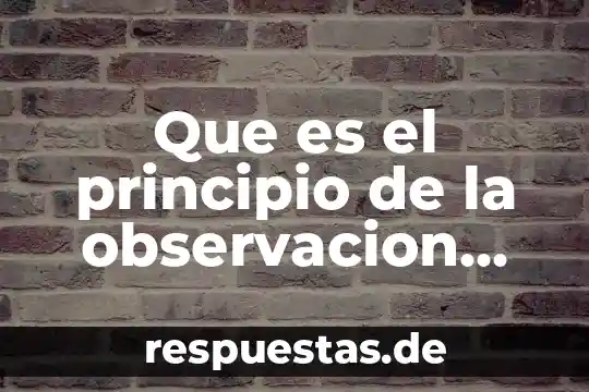 Qué es el interés observación del proceso escolar 8 Que es el principio de la observacion grafica