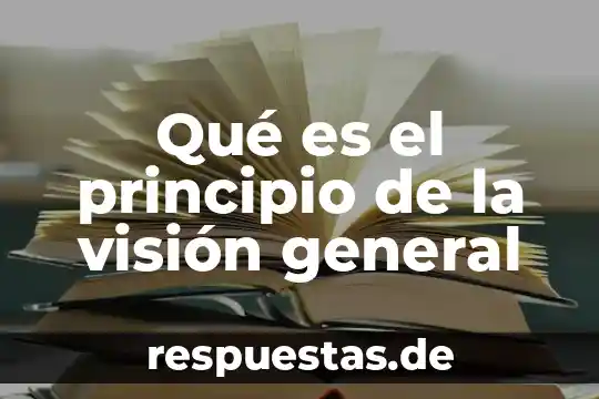 Qué es el principio de la visión general